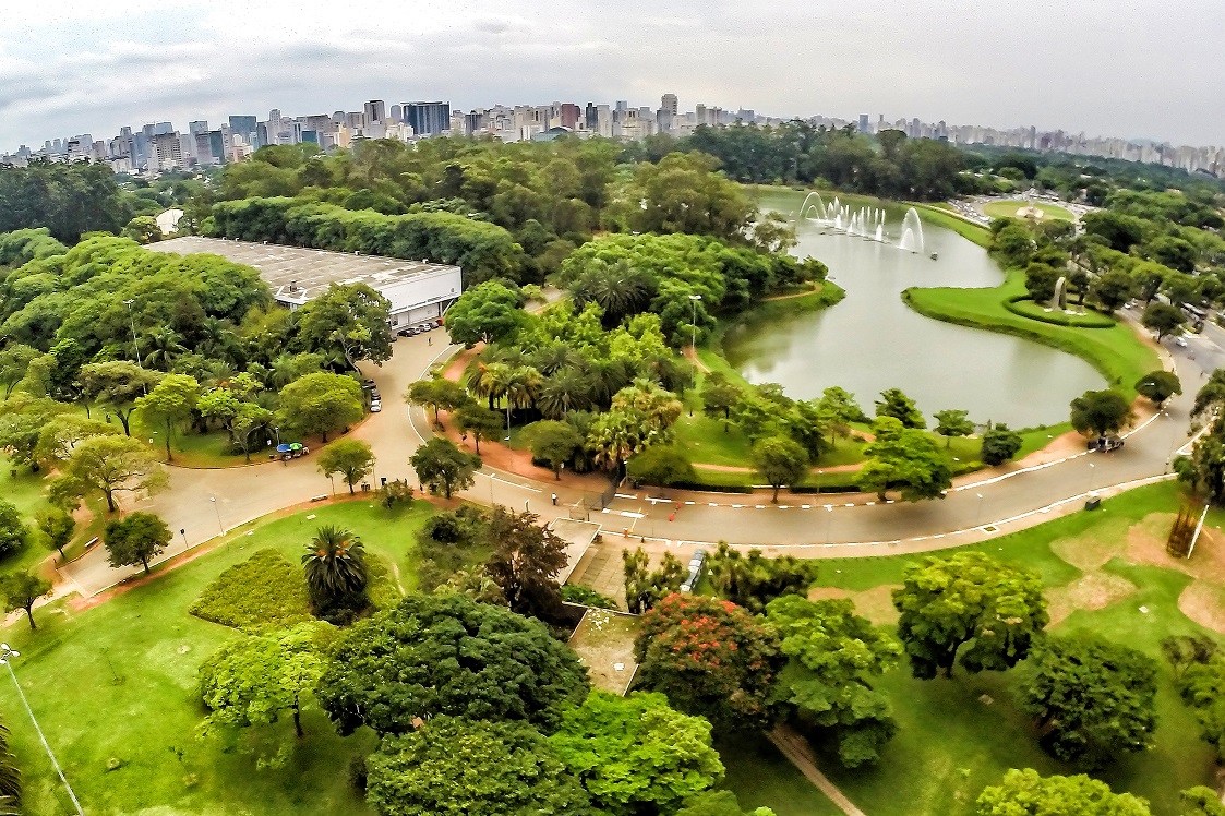 21-01-2015 - São Paulo -  Parque do Ibirapuera. Foto: Rafael Neddermeyer/ Fotos Públicas