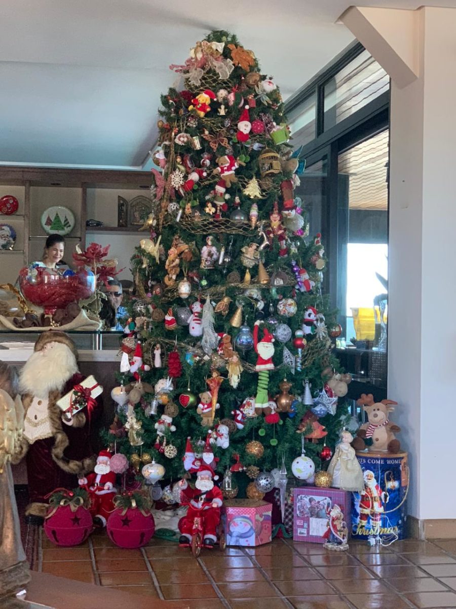 A casa já com a tradicional árvore de Natal gigante, para comemorar D. Lourdes Flor
