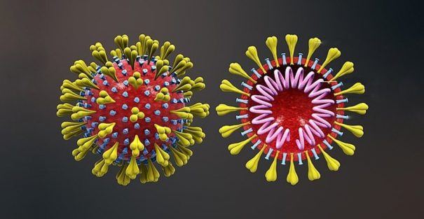 coronavirus-sarscov2.png