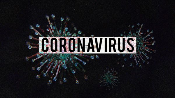 coronavirus---covid19--216074-article