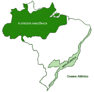 mapa-floresta-amazonica