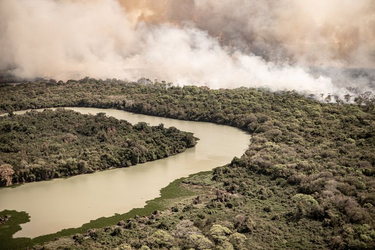 Queimadas no Pantanal atrapalham cronograma de produção e planos da Globo