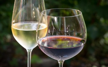 Os mágicos benefícios do  vinho à saúde