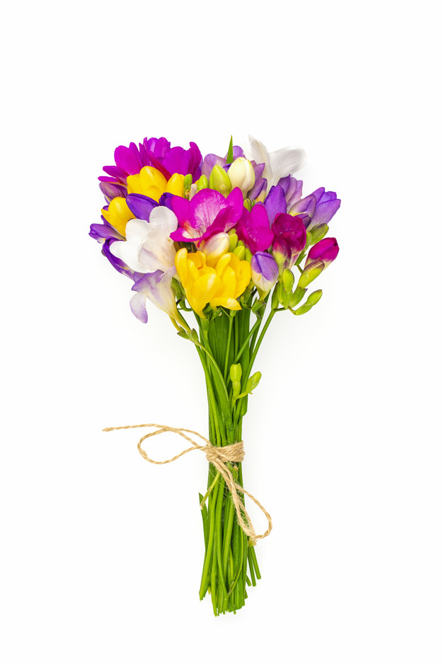 Às mães, flores e minha homenagem pelo Dia