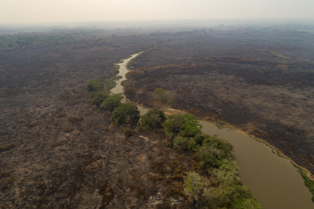 Pantanal vive um momento de seca, queimadas e desmatamentos... impossível ser um cenário positivo de novela