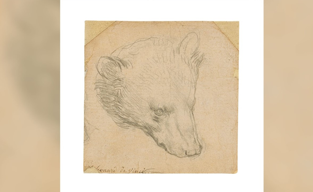 "Cabeça de um urso" de Leonardo Da Vinci