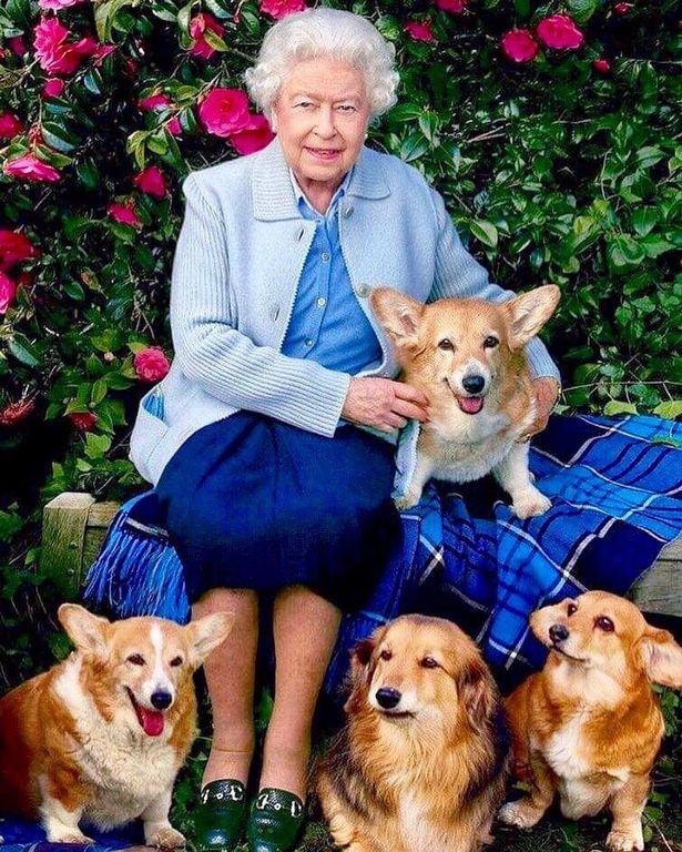 A Rainha Elizabeth com seus dogs reais